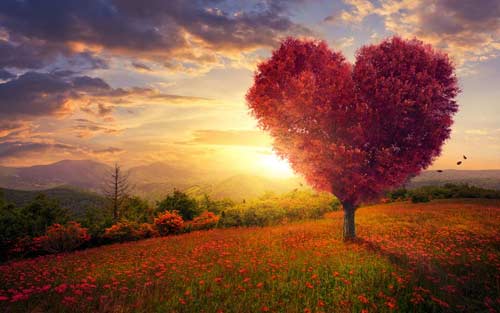 mba备考用什么资料