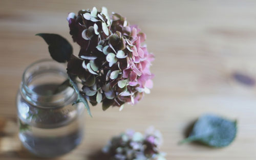 mba考英语看什么书