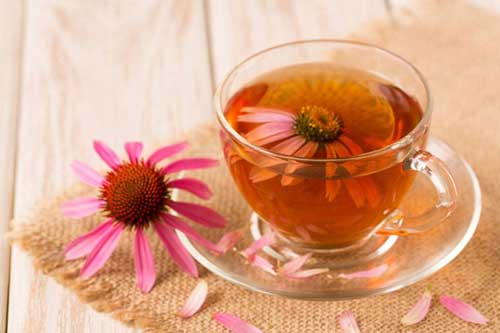 演讲稿我的课余生活