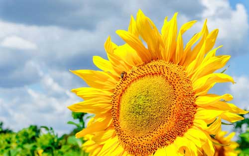 演讲稿我的课余生活