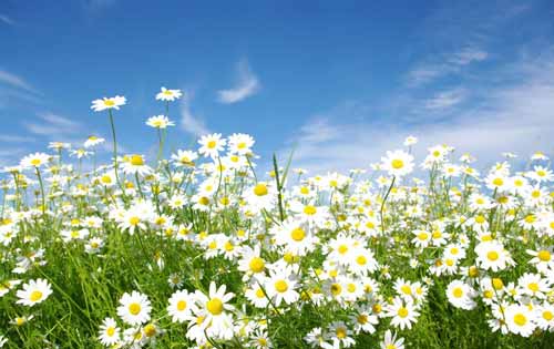 面对挫折永不放弃演讲稿