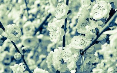 考研英语怎样准备