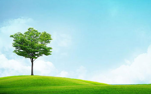 大一如何学数学准备考研