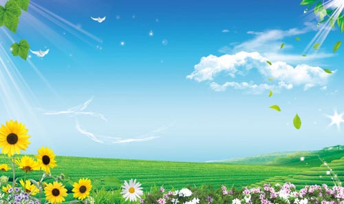 小学六年级语文阅读方法与技巧