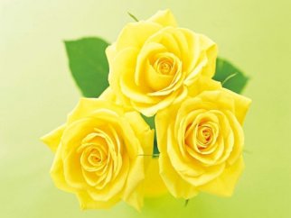 小学语文阅读课导入方法探究