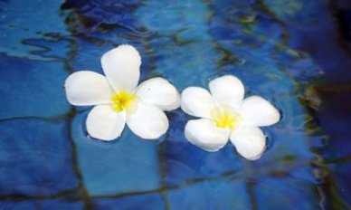 怎样写好商务英语邮件