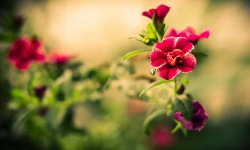 商务英语作文怎么写