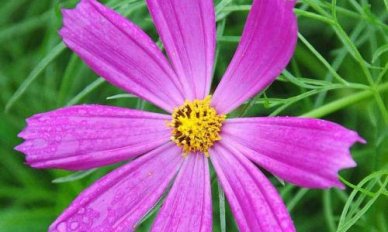 不一样的五一作文