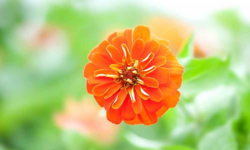 不一样的五一作文