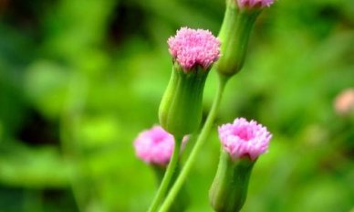 不一样的五一长假作文