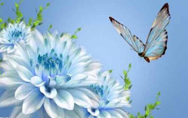 德语为什么难学