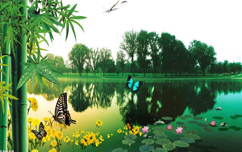 怎么快速学习俄语