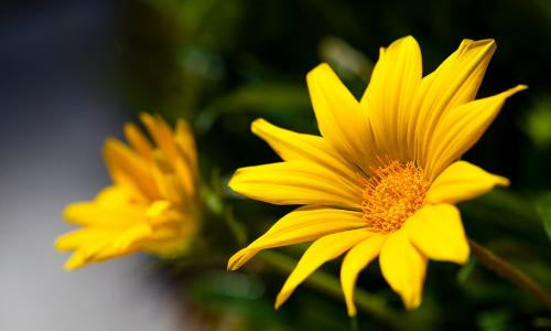 五一纪念日作文