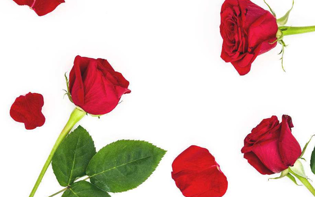 微笑的力量三分钟演讲稿