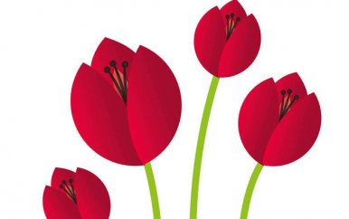 榜样的力量优秀演讲稿