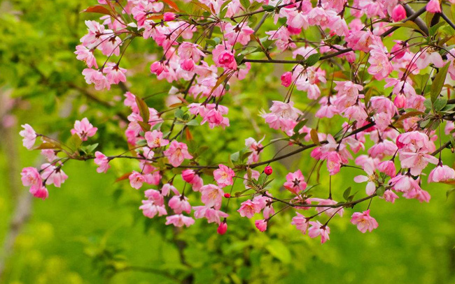 正能量的演讲稿五分钟