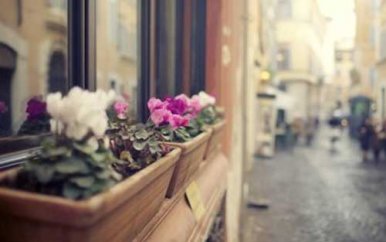 坚持的演讲稿2至3分钟