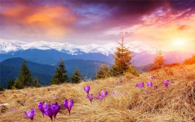 乐观演讲稿三分钟