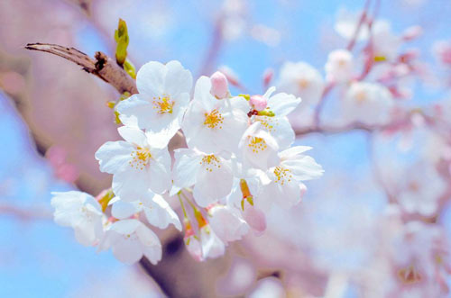 如何巧妙回答面试官问题