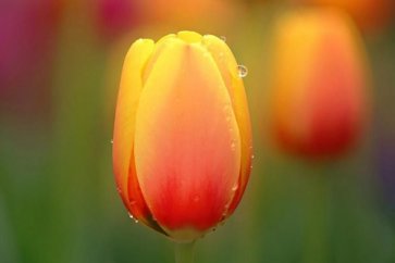 榜样的力量优秀演讲稿