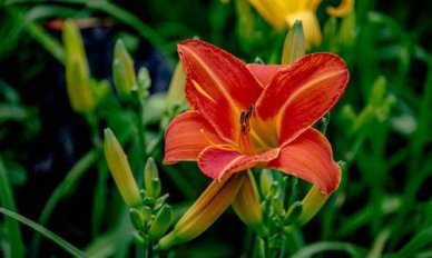 正能量演讲稿1000字