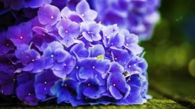 关于陪伴的演讲稿3分钟