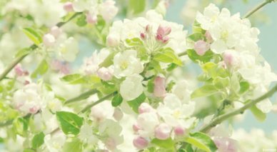 如何写小学数学教学设计评价