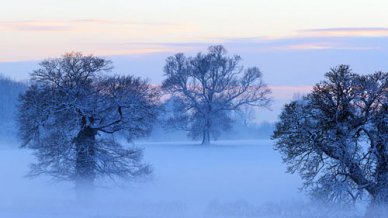 小学数学教学中如何应用多媒体