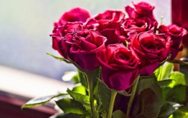 研究生入学考试