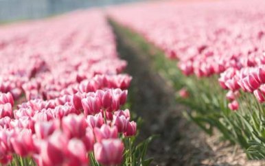 研究生考试科目