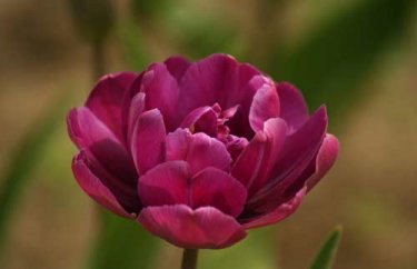 研究生考试准备