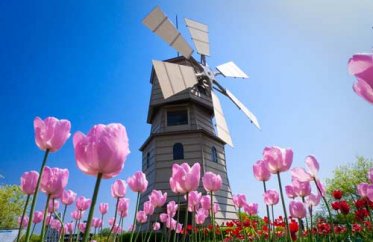 自考研究生考试