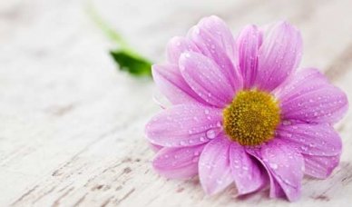 备考在职研究生