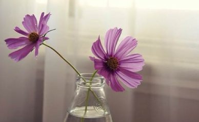 在职研究生报名方法