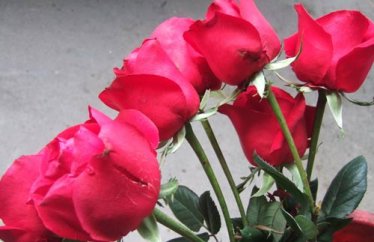 研究生考试政治理论