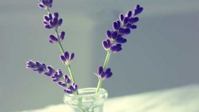 研究生考试现场认证