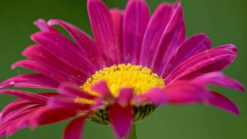 研究生考试初试哪里考