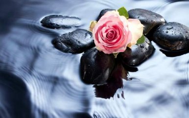 高中语文阅读答题技巧