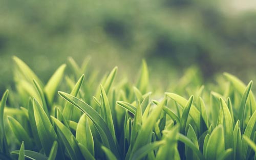 mba在职研究生备考资料