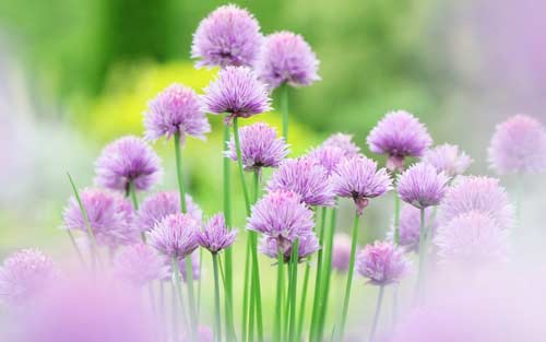 疯狂用英语怎么说