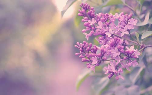 疯狂用英语怎么说