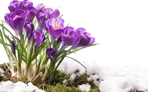 你懂吗用英语怎么说