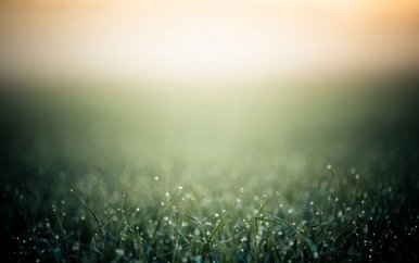 mba可以从事什么工作