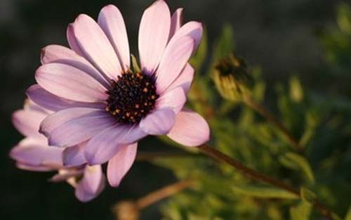 考复旦mba看什么书