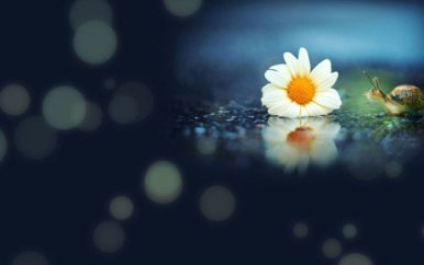 mba女士面试穿什么正装