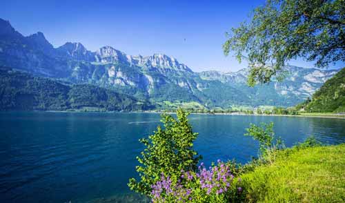 读红岩心得体会演讲稿