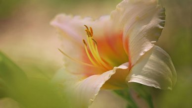 中学生名言演讲稿