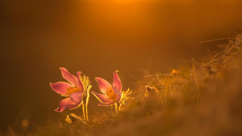 关于人生的名言演讲稿