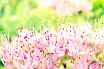 我最喜欢的一句格言演讲稿