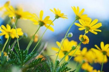 我最喜欢的一句格言演讲稿